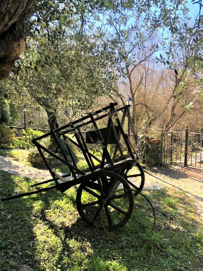 Casale L'Antica Mola Villa Castel Madama Dış mekan fotoğraf