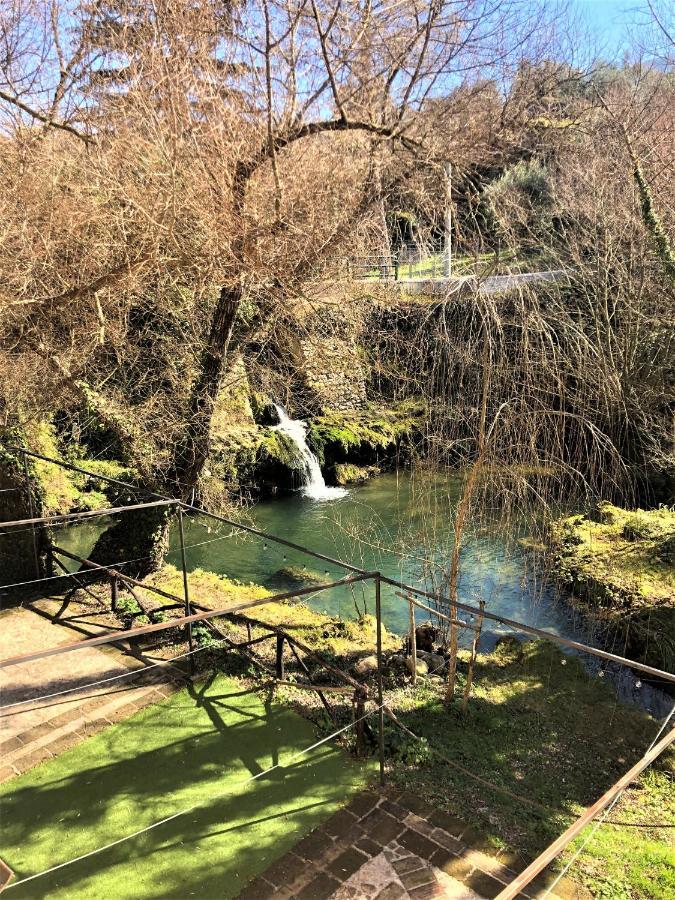 Casale L'Antica Mola Villa Castel Madama Dış mekan fotoğraf