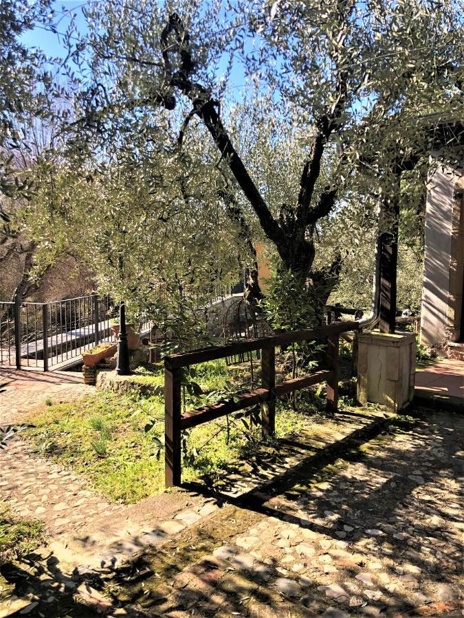 Casale L'Antica Mola Villa Castel Madama Dış mekan fotoğraf